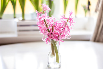 bouquet of flowers hyacinths  in a vase on the table