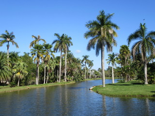 Obraz premium Fairchild Botanical Gardens in Miami