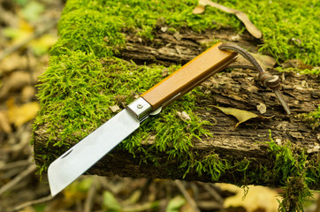 Portuguese folding knife. Pocket knife with wooden handle.