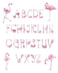 Alphabet Pink Flamingo Cute Romantic Letters. Wedding collection, greeting card text on transparent background. Poster