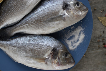 Fresh dorado fish on a blue round wooden tray. Gray wooden background.