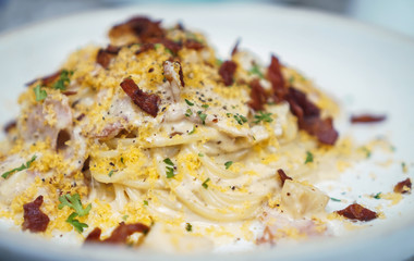 Carbonara pasta, spaghetti with pancetta. Traditional italian cuisine. Pasta alla carbonara