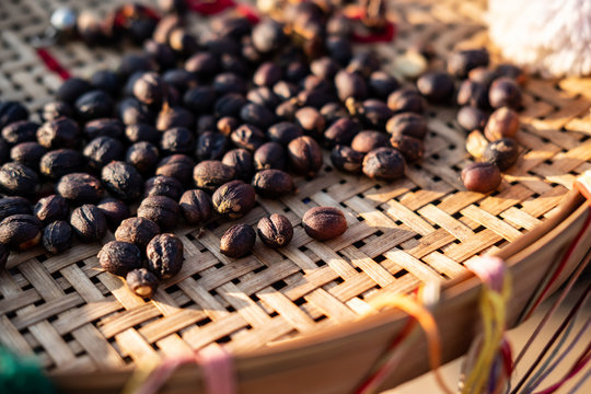 Dried Coffee Bean