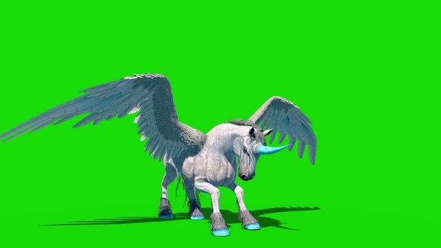 Unicorn Pegasus Winged Horse Neighs Green Screen 3D Rendering Animation