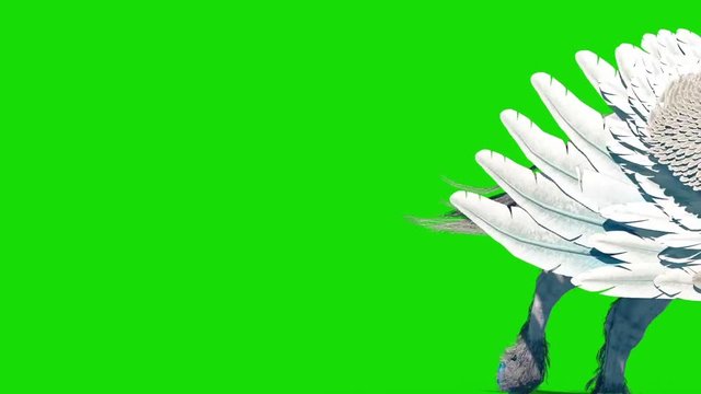 Unicorn Pegasus Winged Horse Run Front Green Screen 3D Rendering Animation