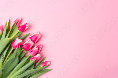 Spring rose background with spring flowers tulips. Free space. Copy space.Top view. Mother's day. Woman's day. St Valentine's Day.
