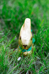Lapin en chocolat