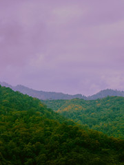 Fototapeta premium Travel and landscape in summer concept from panorama view of tropical forest with layer of mountain and cloudy background