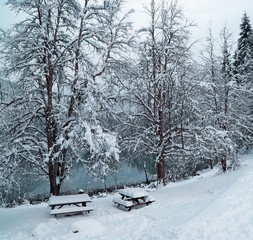 Fototapeta na wymiar gorgeous winter photos.savsat/artvin/turkey