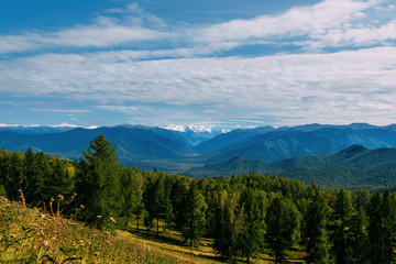 Fototapeta na wymiar Mountain valley with trees and cloudy sky, golden autumn panorama landscape, Altai Republic