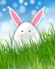 Easter Bunny on the grass