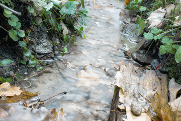 waterfall in garden