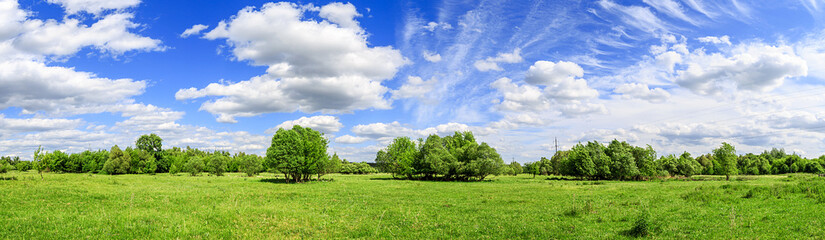 Fototapeta na wymiar green field with trees and blue sky with clouds Sunny day, beautiful rural landscape, panoramic banner