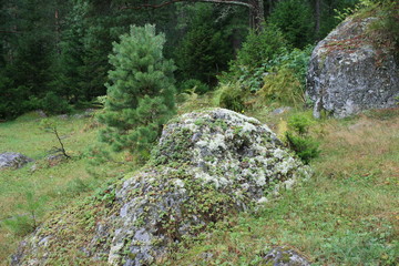 mountain, landscape, nature, forest, rock, stone, sky, green, tree, water, rocks, view, river, summer, trees, hill, waterfall, moss, mountains, stream, park, blue, outdoor, grass, travel