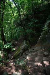 Fototapeta premium Hiking in Arkansas