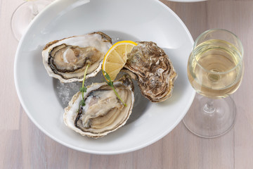 Plate with raw oysters and lemon slices on ice close-up