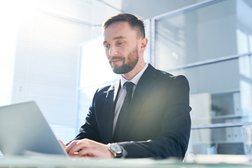 Fototapeta premium Elegant office worker