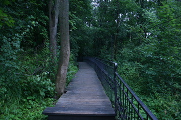Obraz premium forest, path, nature, bridge, tree, wood, park, green, trail, wooden, landscape, trees, woods, walkway, road, boardwalk, pathway, footpath, hiking, outdoors, way, outdoor, walk, jungle, perspective