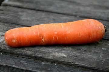 Beautiful fresh juicy ripe orange carrots lay on the table summer