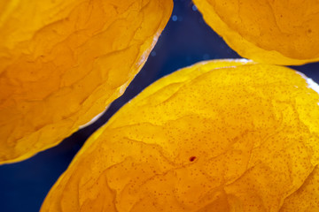 background of dried peach macro . orange texture