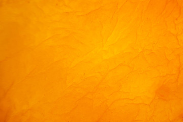 background of dried peach macro . orange texture