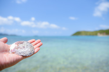 Woman hand holding a shell on the beach with blurred sea and blue sky background. Summer day concept. Vacation holidays background wallpaper.