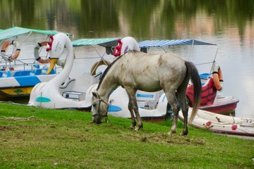 Travel Photography - beauty in the world