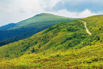 country road uphill to distant peak. summer landscape in mountains. alpine meadow on the hillside....