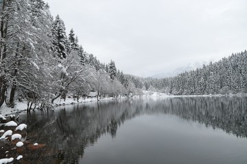 gorgeous winter photos.savsat/artvin/turkey