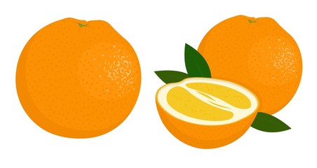 Orange whole and half of orange. Citrus fruit. Raster illustration of oranges on white background.