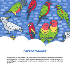 Obraz premium Parrots background in line style with text