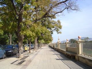 Street of downtown Murcia