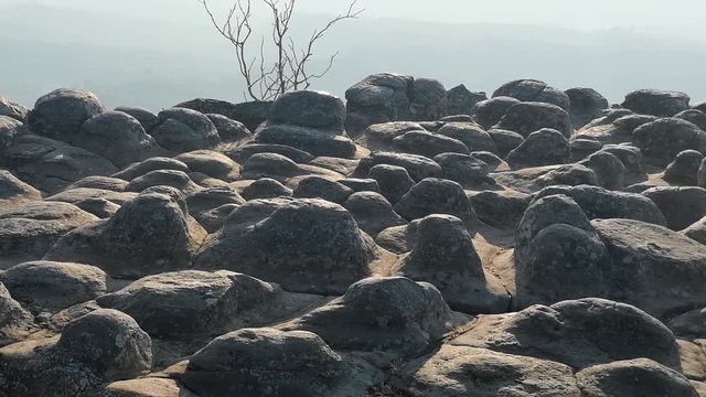 Stone in Lan Hin Pum at Phu Hin Rong Kla Park Phitsanulok Province,Thailand.