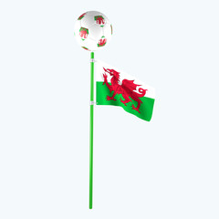 3D rendered country flag with soccerball