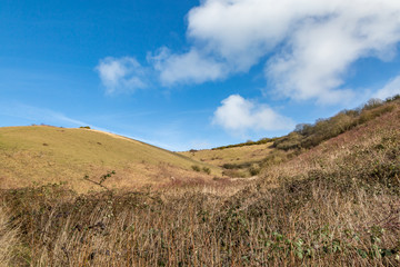 A winter view of a South Downs landscape with a blue sky overhead