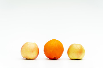 different types of fruit symbolize diversity