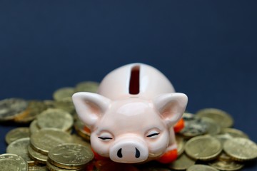 Sparschwein auf Münzen