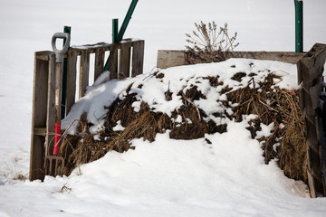 Compost pile under fresh snow