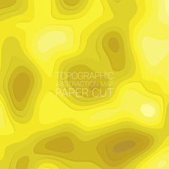 Stylized height of topographic contour in the style of paper cutting. The concept of conditional geographic patterns and terrain. Abstract background. Vector illustration