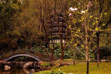 Chinese attractions in the garden. Asian culture