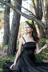 free dragon in autumn