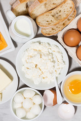 assortment of fresh farm dairy products, vertical top view