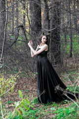 free dragon in autumn