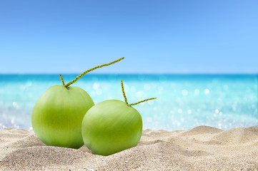 tropical sandy beach with green coconut  summer concept background