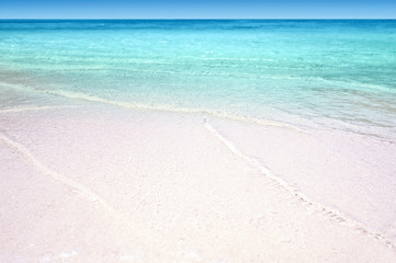 tropical sandy beach summer concept background