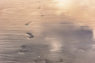 Foot print on sandy beach