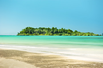 coconut plam trees on island and sandy beach summer concept