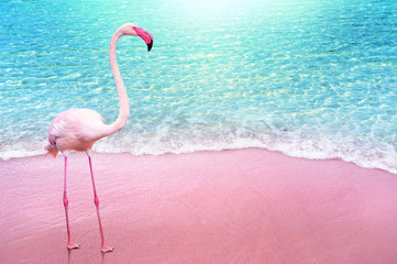 pink flamingo on pink sandy beach and soft blue ocean wave summer concept background