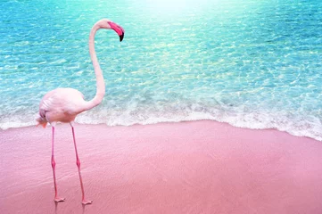Fotobehang roze flamingo op roze zandstrand en zachte blauwe oceaangolf zomer concept achtergrond © OHishi_Foto