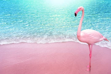 Fotobehang roze flamingo vogel zandstrand en zachte blauwe oceaangolf zomer concept achtergrond © ohishiftl
